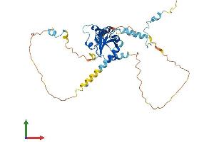 Protein Structure (PS) image for Centrosomal Protein 41kDa (CEP41) (AA 1-373) protein (His tag) (ABIN7560444)