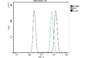 Flow Cytometry analysis of U937 cells using anti-PSD95/DLG4 antibody (ABIN7600355). (DLG4 Antikörper  (AA 18-711))