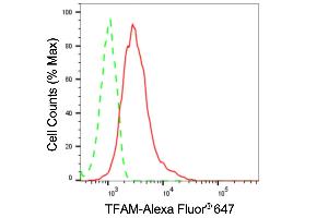 Flow cytometric analysis of TFAM expression in HT- cells using TFAM antibody (ABIN7800590), 1:2,000). (Rekombinanter TFAM Antikörper)