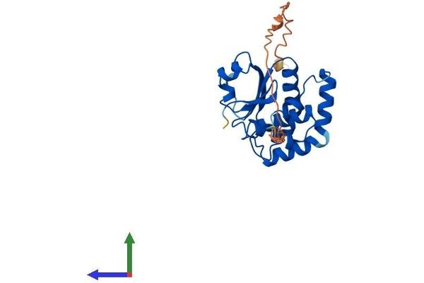 DUSP15 Protein (AA 1-235) (His tag)