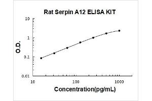 Typical Standard Curve