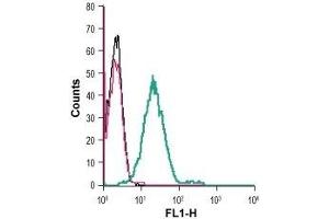Cell surface detection of GPER1 in live intact human THP-1 monocytic leukemia cells: (black line) Cells. (Mesothelin Antikörper  (Extracellular))