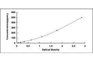 Typical standard curve (IL-10 ELISA Kit)