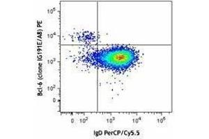 Flow Cytometry (FACS) image for anti-B-Cell CLL/lymphoma 6 (BCL6) antibody (PE) (ABIN2662400) (BCL6 Antikörper  (PE))