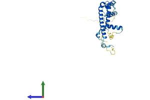 AlphaFold protein structure predicition of Human Recombinant C22orf23 Protein, UniprotID Q9BZE7