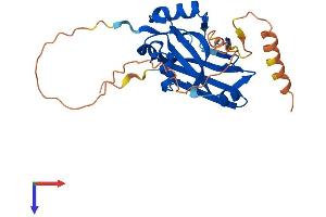 AlphaFold protein structure predicition of Human Recombinant SIAH3 Protein, UniprotID Q8IW03