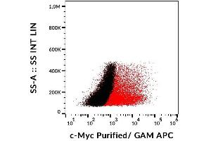 Detection of transfected LST-1-c-Myc in HEK-293 cells (red) compared with nontransfected HEK-293 cells (black) using mouse monoclonal anti-c-Myc (9E10) purified, GAM-APC. (Myc Tag Antikörper  (C-Term))
