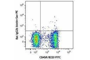Flow Cytometry (FACS) image for anti-Chemokine (C-X-C Motif) Receptor 5 (CXCR5) antibody (Biotin) (ABIN2660750) (CXCR5 Antikörper  (Biotin))