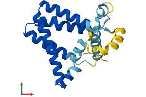 AlphaFold protein structure predicition of Human Recombinant PRAF2 Protein, UniprotID O60831
