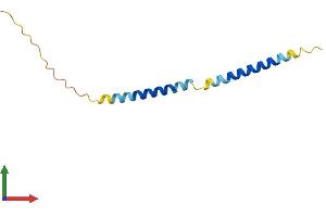 Protein Structure (PS) image for Transcription Elongation Factor A (SII)-Like 7 (TCEAL7) (AA 1-98) protein (His tag) (ABIN7561989)
