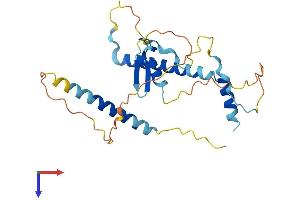 LIN37 Protein (AA 1-246) (His tag)