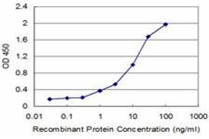 Detection limit for recombinant GST tagged IL1B is approximately 0. (IL-1 beta Antikörper  (AA 170-269))