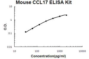 Mouse CCL17/TARC Accusignal ELISA Kit Mouse CCL17/TARC AccuSignal ELISA Kit standard curve. (CCL17 ELISA Kit)