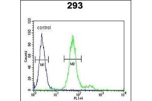 ADTS18 Antibody (C-term) (ABIN652853 and ABIN2842553) flow cytometric analysis of 293 cells (right histogr) compared to a negative control cell (left histogr). (ADAMTS18 Antikörper  (C-Term))