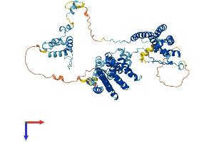 THOC1 Protein (AA 1-657) (His tag)