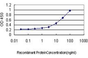 Detection limit for recombinant GST tagged GLUL is approximately 0. (GLUL Antikörper  (AA 1-373))
