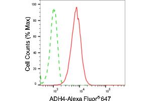anti-Alcohol Dehydrogenase 4 (Class II), pi Polypeptide (ADH4) antibody