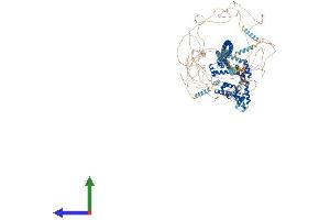 Protein Structure (PS) image for Cut-Like Homeobox 1 (CUX1) (AA 1-1515) protein (His tag) (ABIN7563430)