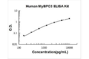 Myosin Binding Protein C, Cardiac (MYBPC3) ELISA Kit
