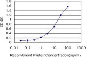 Detection limit for recombinant GST tagged TCF7L2 is approximately 0. (TCF7L2 Antikörper  (AA 1-455))