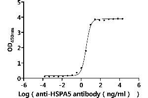 Measured by its binding ability in a functional ELISA.