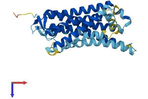 OR12D2 Protein (AA 1-307) (His tag)