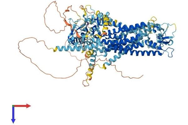 Anoctamin 2 Protein (ANO2) (AA 1-1002) (His tag)