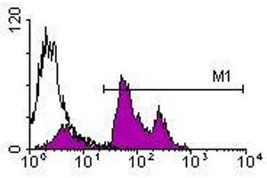 Image no. 1 for anti-CD45 (CD45.2 Allogen) antibody (Biotin) (ABIN135326) (CD45.2 Antikörper  (Biotin))