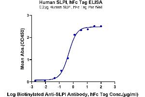 ELISA image for Secretory Leukocyte Peptidase Inhibitor (SLPI) (AA 26-132) protein (Fc Tag) (ABIN7275627)