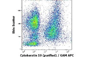 Flow cytometry intracellular staining pattern of human peripheral whole blood spiked with MCF-7 cells stained using anti-Cytokeratin 19 (A53-B/A2) purified antibody (concentration in sample 3 μg/mL, GAM APC).