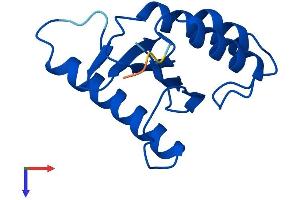 TRAPPC1 Protein (AA 1-145) (His tag)