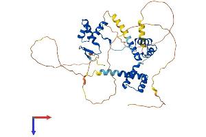 PAX6 Protein (AA 1-422) (His tag)