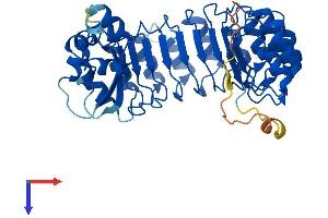 FBXL14 Protein (AA 1-418) (His tag)