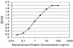 Detection limit for recombinant GST tagged SMG1 is approximately 0. (SMG1 Antikörper  (AA 2922-3031))