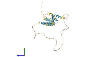 Protein Structure (PS) image for Calcium Modulating Ligand (CAMLG) (AA 1-294) protein (His tag) (ABIN7563331)