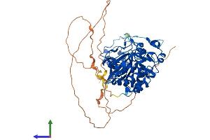 AlphaFold protein structure predicition of Human Recombinant DYRK4 Protein, UniprotID Q9NR20