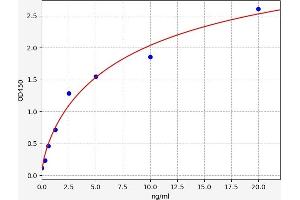 Sirtuin 2 (SIRT2) ELISA Kit