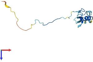 RBX1 Protein (AA 1-108) (His tag)