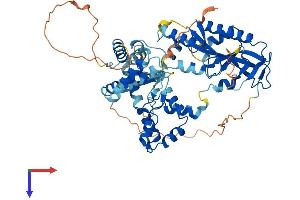 MUS81 Protein (AA 1-551) (His tag)