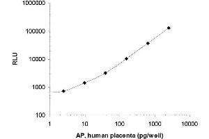 ELISA image for SensoLyte® Luminescent Secreted Alkaline Phosphatase Reporter Gene Assay Kit (ABIN1882398) (SensoLyte® Luminescent Secreted Alkaline Phosphatase Reporter Gene Assay Kit)