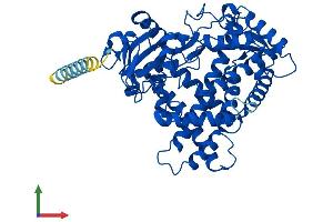 Protein Structure (PS) image for Cytochrome P450, Family 2, Subfamily A, Polypeptide 6 (CYP2A6) (AA 1-494) protein (His tag) (ABIN7546669)