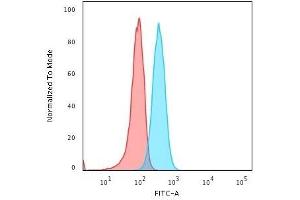 Flow Cytometric Analysis of Human Raji cells using BOB1 Mouse Monoclonal Antibody (BOB1/2421) followed by Goat anti-Mouse IgG-CF488 (Blue); Isotype Control (Red).