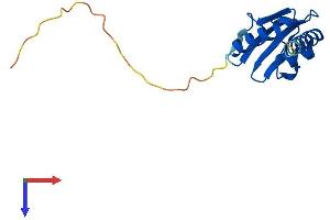 GSKIP Protein (AA 1-139) (His tag)