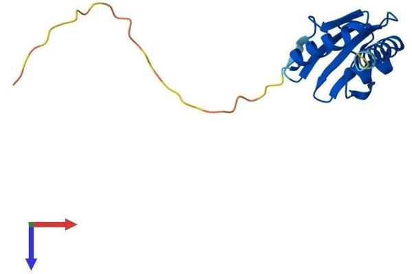 GSKIP Protein (AA 1-139) (His tag)