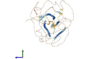 Protein Structure (PS) image for Angiomotin (AMOT) (AA 1-1084) protein (His tag) (ABIN7552210)