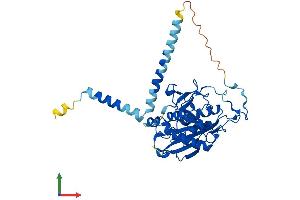 Protein Structure (PS) image for UDP-Gal:betaGlcNAc beta 1,4-Galactosyltransferase, Polypeptide 6 (B4GALT6) (AA 1-382) protein (His tag) (ABIN7552600)