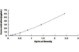 Fatty Acid Desaturase 2 (FADS2) ELISA Kit