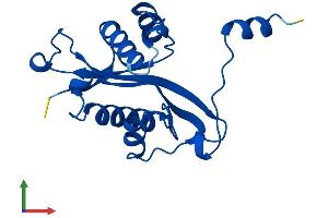 Protein Structure (PS) image for Spermidine/spermine N1-Acetyltransferase 1 (SAT1) (AA 1-171) protein (His tag) (ABIN7545983)