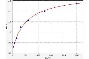 Peroxiredoxin 1 (PRDX1) ELISA Kit