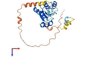 AlphaFold protein structure predicition of Human Recombinant METTL15P1 Protein, UniprotID P0C7V9